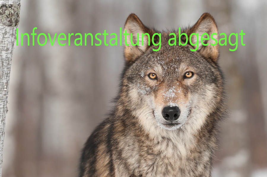 Info-Veranstaltung des Kreises Paderborn und der Stadt Lichtenau abgesagt © iStock.com - hkuchera